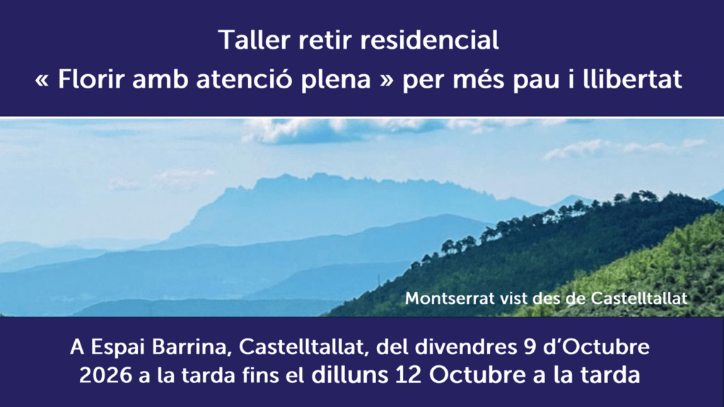 Workshop and Residential Retreat « Strengths to Flourish » for More Peace and Freedom